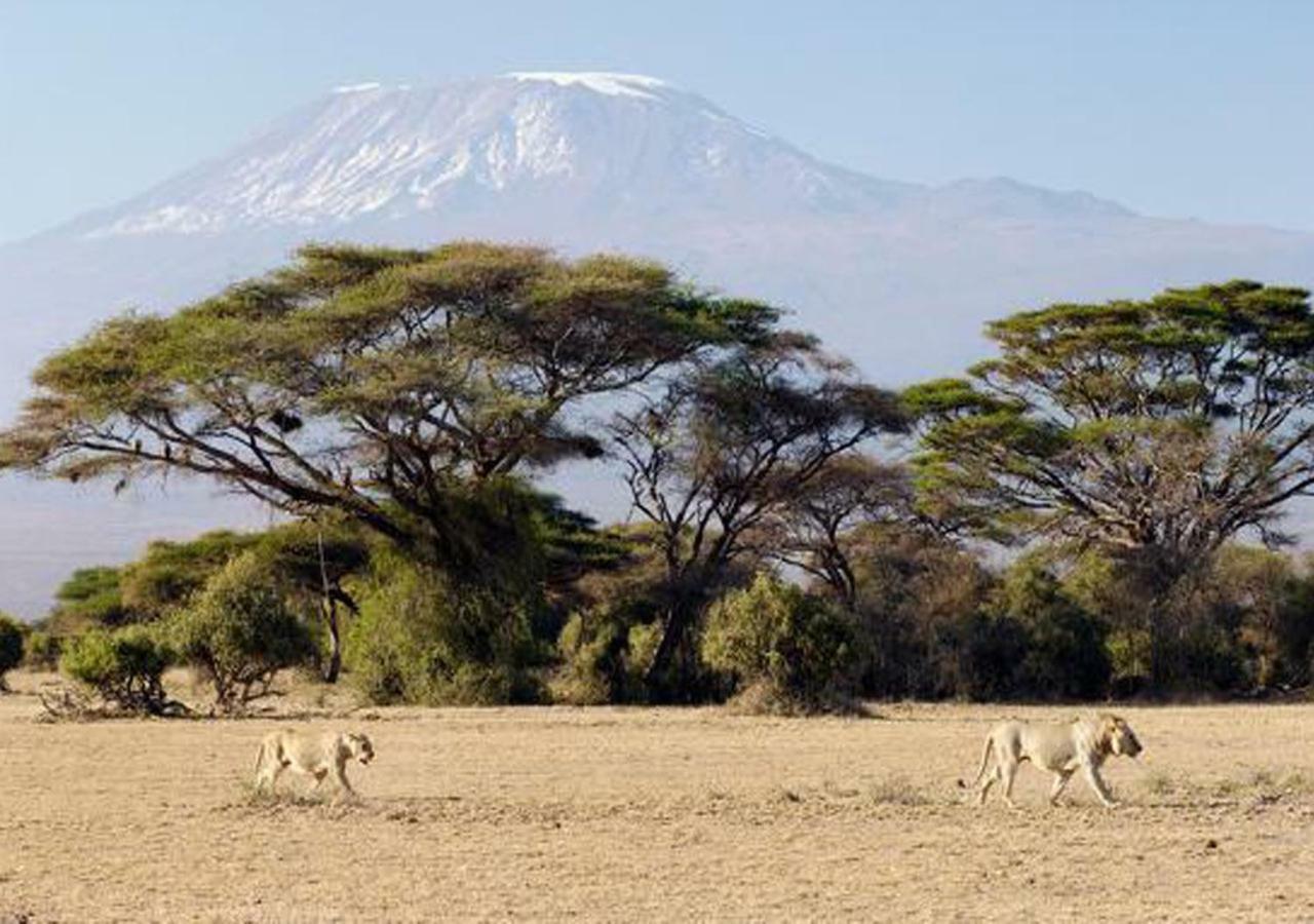 Aa Lodge Amboseli Exterior foto