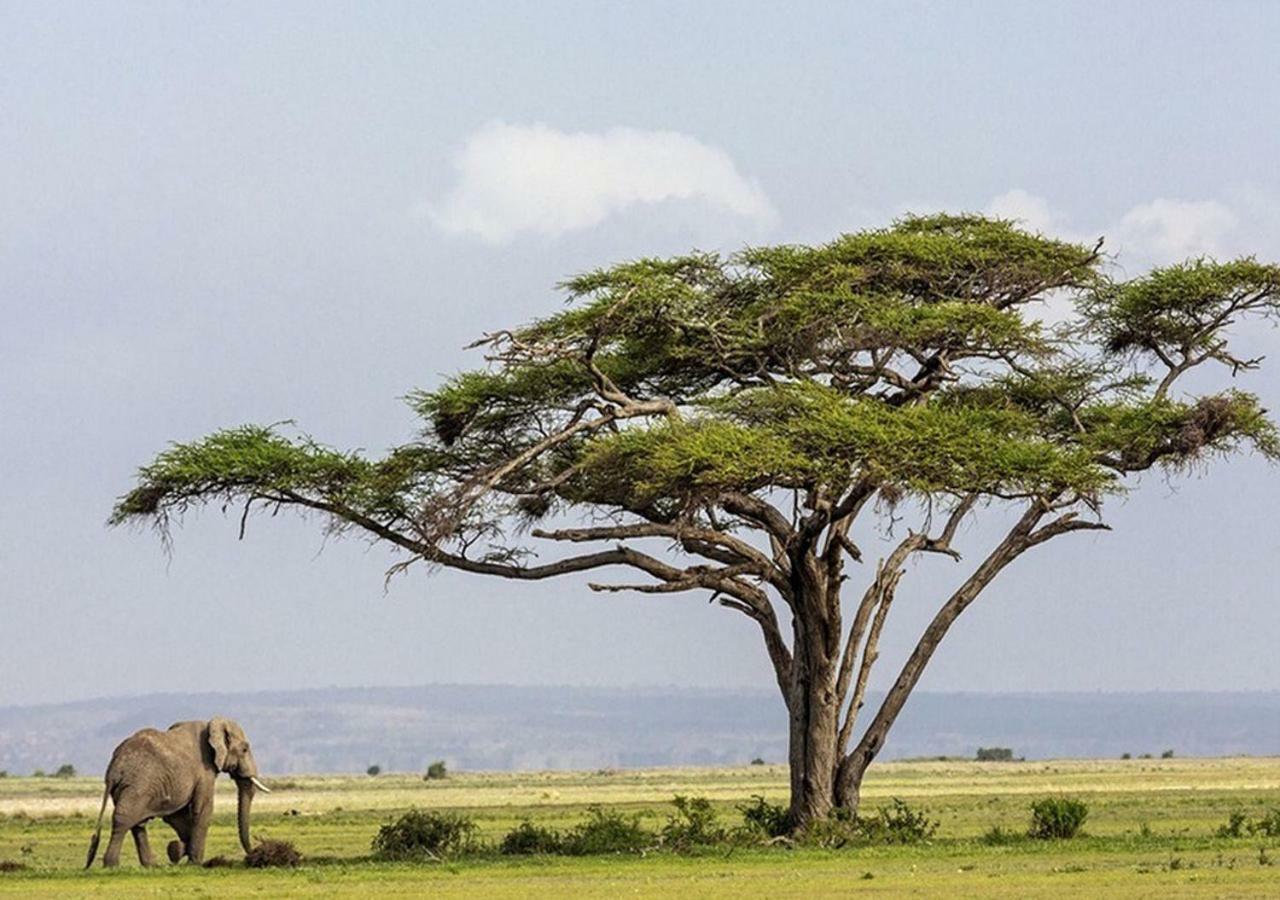 Aa Lodge Amboseli Exterior foto